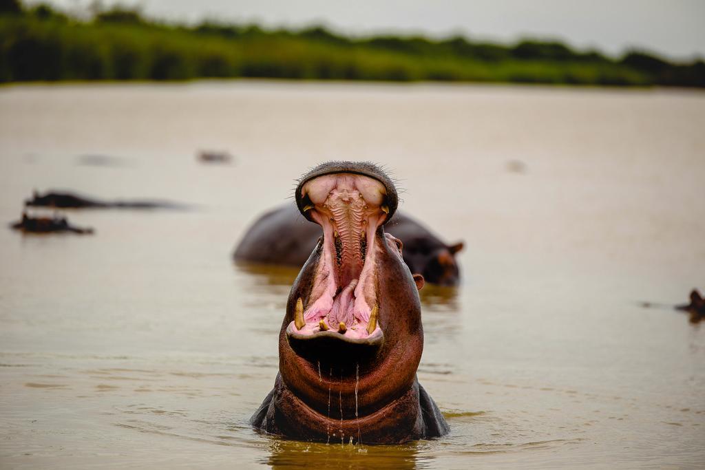 At Heritage House Saint Lucia Estuary Buitenkant foto